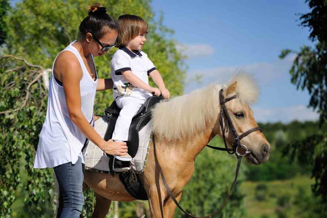 Một số chú ý khi thực hành cưỡi ngựa cho người mới học 